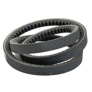 V belt