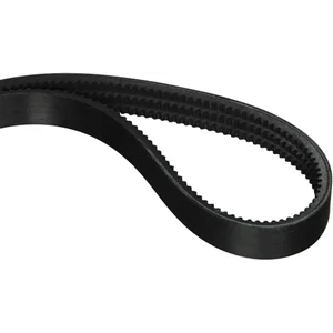 V Belt