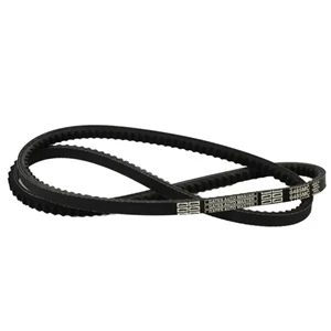 V Belt